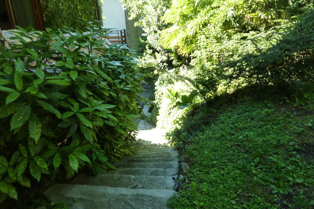 B&B Le Ortensie -Lago Di Como Lierna Εξωτερικό φωτογραφία