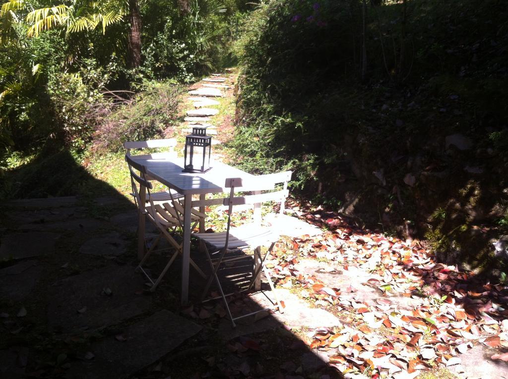 B&B Le Ortensie -Lago Di Como Lierna Εξωτερικό φωτογραφία