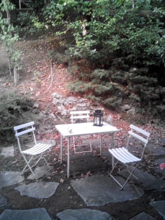 B&B Le Ortensie -Lago Di Como Lierna Εξωτερικό φωτογραφία