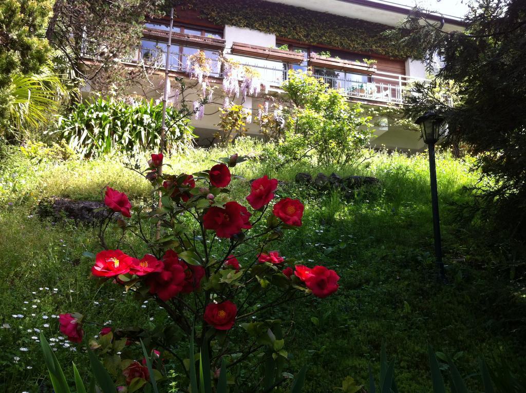 B&B Le Ortensie -Lago Di Como Lierna Εξωτερικό φωτογραφία