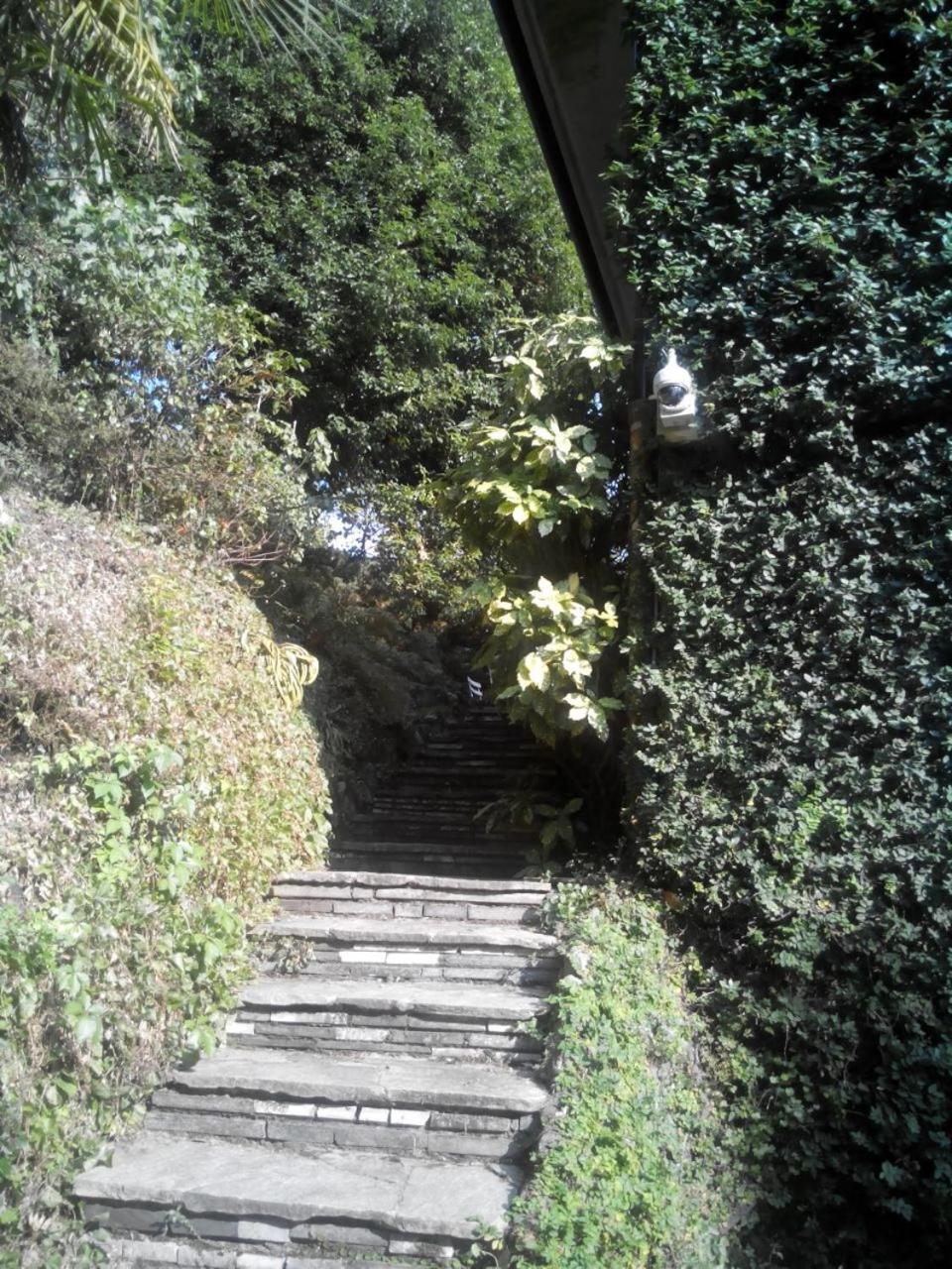B&B Le Ortensie -Lago Di Como Lierna Εξωτερικό φωτογραφία